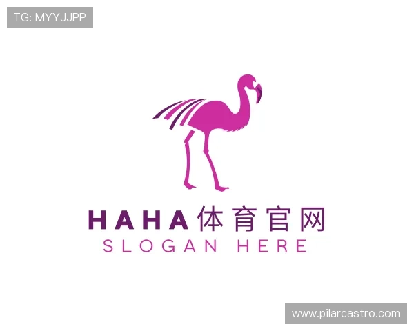 解读HAHA体育官网官网版